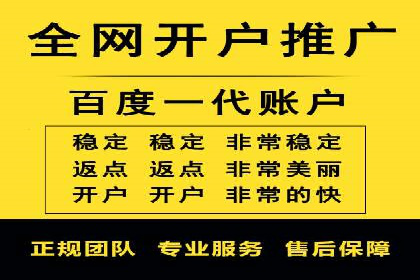 SEM广告投放的精准定位与优化案例
